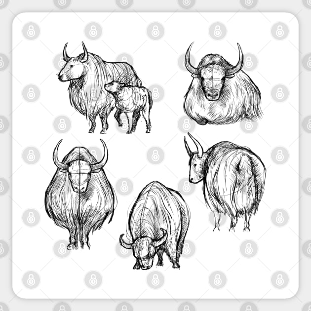 Sketches of a Yak Sticker by AniaArtNL